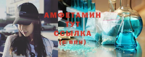 дмт Ельня