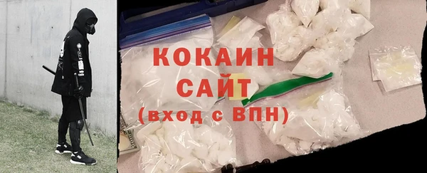 дмт Ельня