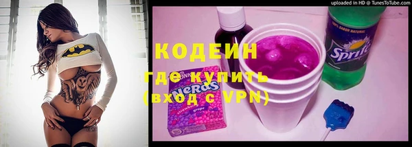 соль ск Елабуга