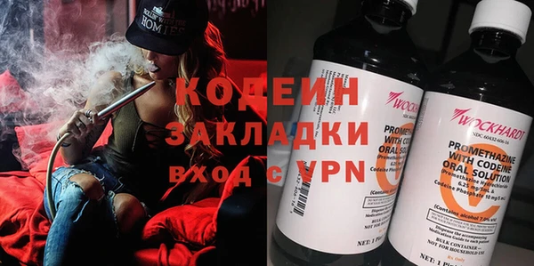 дмт Ельня
