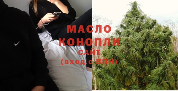 дмт Ельня