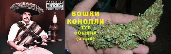 альфа пвп Елизово