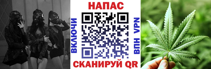 Купить закладки  Калининец  Конопля Amnesia 